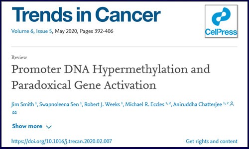 Trends in Cancer 綜述 | 啟動(dòng)子 DNA 高甲基化激活基因高表達(dá)