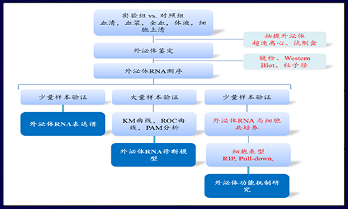 漲姿勢(shì)啦！解鎖外泌體研究策略！