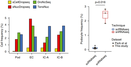伯豪生物單細(xì)胞核轉(zhuǎn)錄組測(cè)序數(shù)據(jù)圖 8