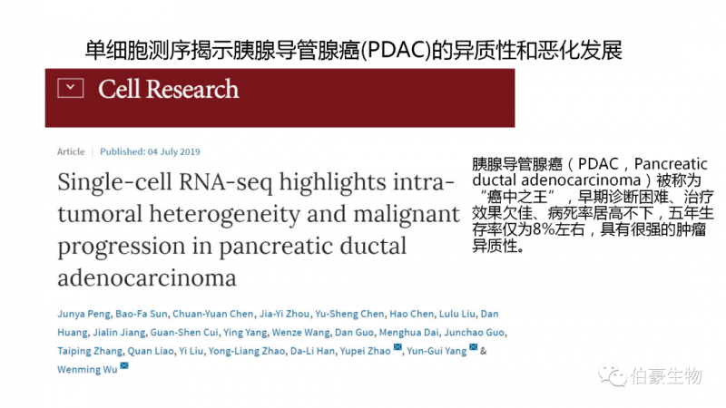  伯豪生物 單細(xì)胞測序 服務(wù) 