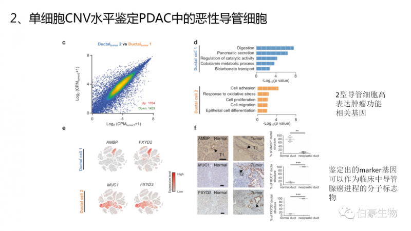  上海伯豪生物 單細(xì)胞測序技術(shù) 服務(wù) 