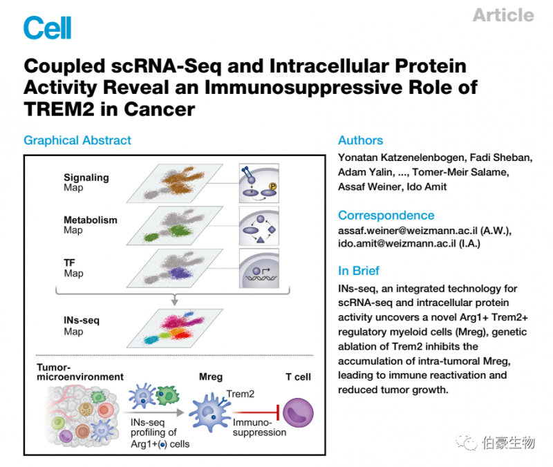 單細胞測序服務(wù)，高通量測序