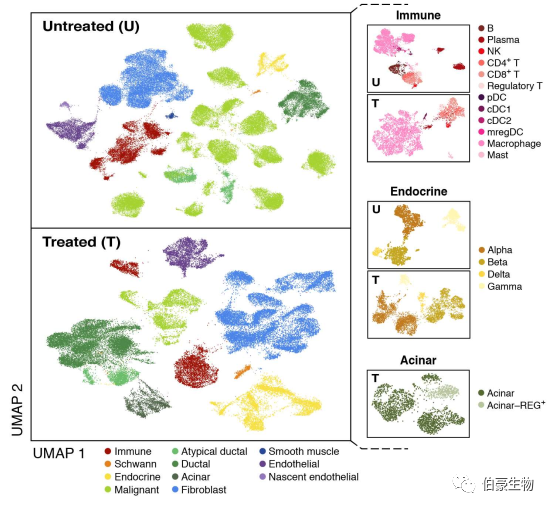 單細(xì)胞核測(cè)序 scRNA-seq 圖 1