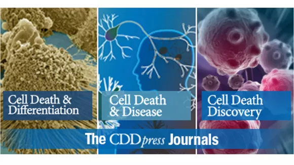 伯豪生物客戶轉(zhuǎn)錄組測序高分文章 3