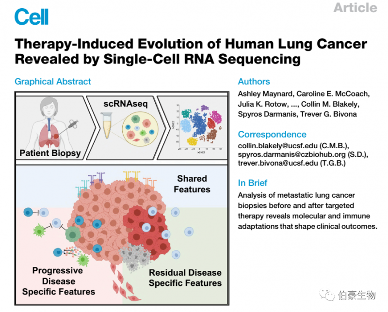 單細胞測序技術(shù)服務(wù)，高通量測序