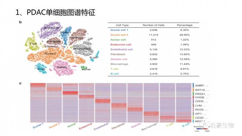  伯豪生物 單細(xì)胞測序 服務(wù) 