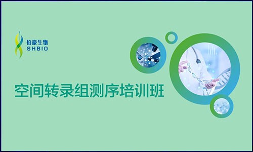 開班啦 | 伯豪生物空間轉錄組測序培訓班