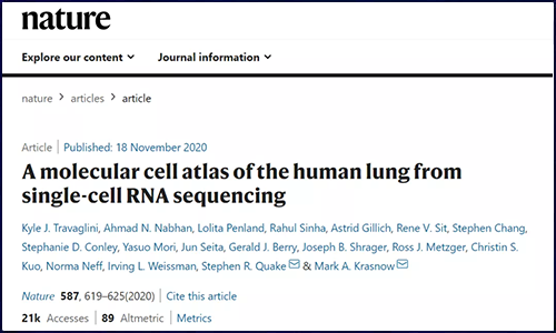 Nature | 基于單細胞 RNA 測序繪制人類肺組織分子細胞圖譜，成功鑒定多種未知細胞類型