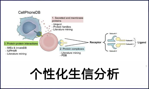 錦上添花 | 個性化分析之細胞通訊分析