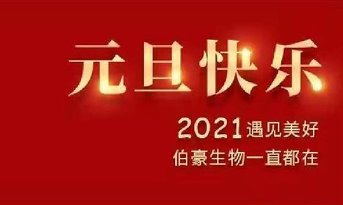 伯豪生物祝您元旦快樂(lè)！
