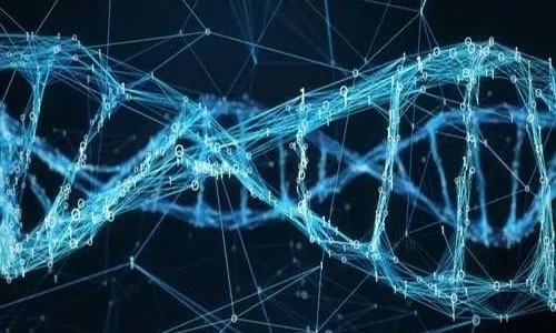 Cell 子刊 | 整合 scRNA-seq 和 ATAC-seq 數據分析人類發育過程中造血功能的調控