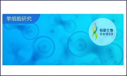 新品上市！BD 公司攜 30 種抗體組合助力單細胞多組學研究！
