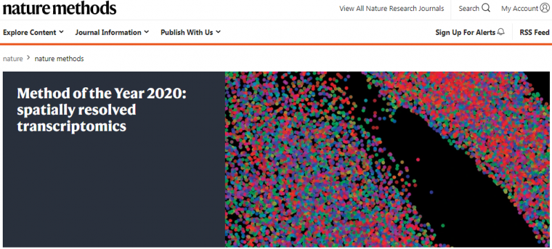 空間轉(zhuǎn)錄組被評(píng)為 2020 年度技術(shù)