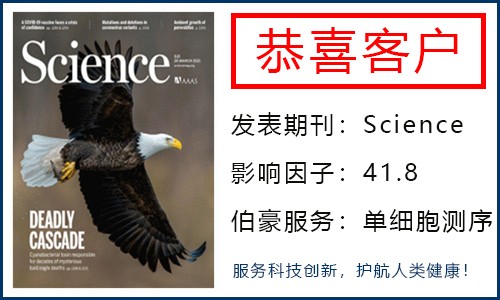 客戶單細胞項目文章登 Science| 田志剛院士團隊發現天然淋巴細胞的骨髓外發育新途徑