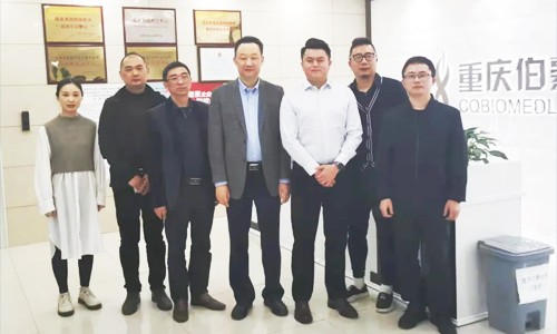 重慶大渡口區生物產業辦一行蒞臨重慶伯豪參觀交流