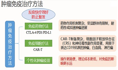 全外顯子組測序 & 轉錄組測序聯合助力腫瘤免疫治療