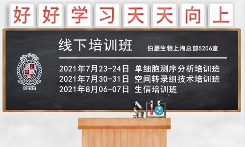 重磅！暑期系列培訓(xùn)班開課通知，6 月報(bào)名可享優(yōu)惠！