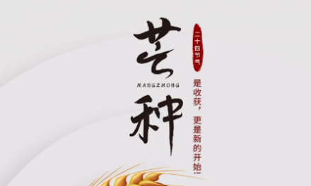 芒種 | 是收獲，更是新的開(kāi)始！