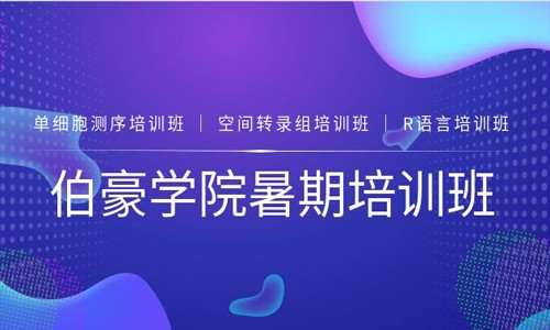 伯豪學院 |2021 暑期培訓班圓滿收官！