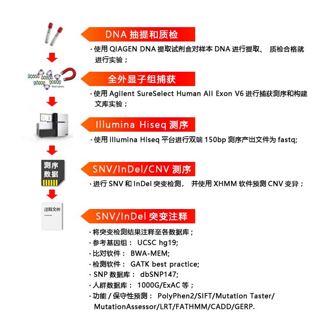 全外顯子組測(cè)序?qū)嶒?yàn)流程