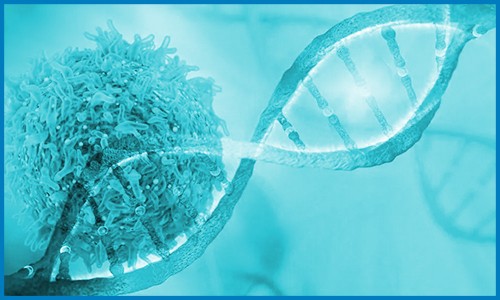 Nature Genetics | 發(fā)表乳腺癌單細胞空間分辨圖譜，鑒定與細胞異質性和預后相關的九種亞型