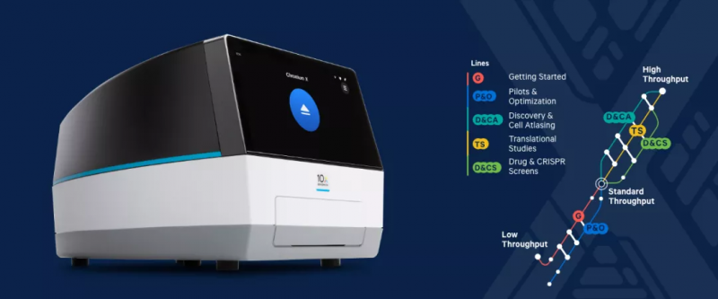 Chromium X 平臺照片