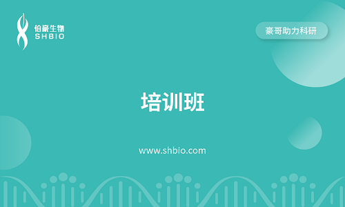 視頻合集 | 培訓(xùn)班