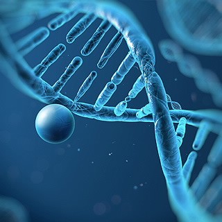 表觀遺傳學(xué)研究設(shè)計(jì)