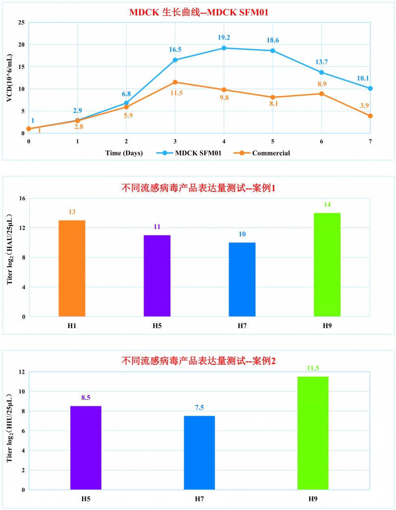 MDCK SFM01 培養(yǎng)基性能展示