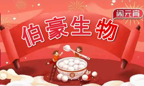 元宵節快樂 | 伯豪生物鬧元宵“職”等你來