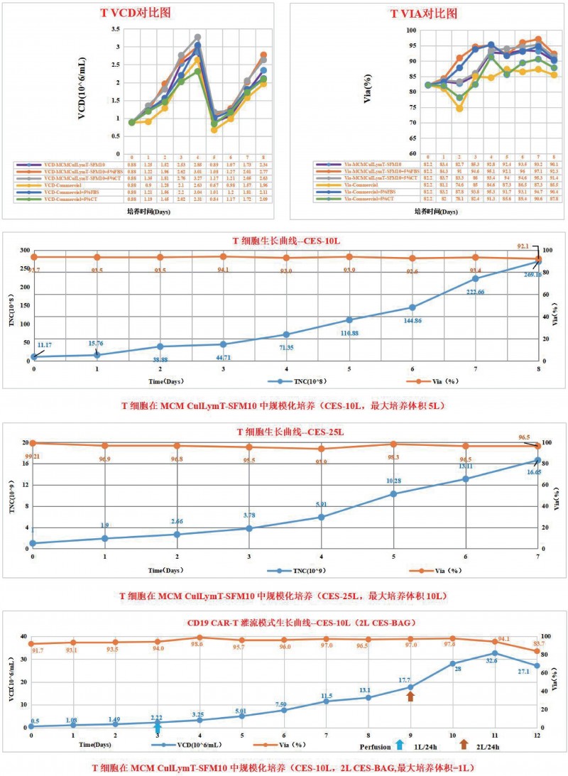 T 淋巴細胞無血清培養(yǎng)基產(chǎn)品性能