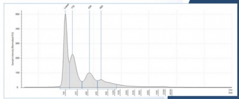 Agilent 4200 分析儀檢測結果圖