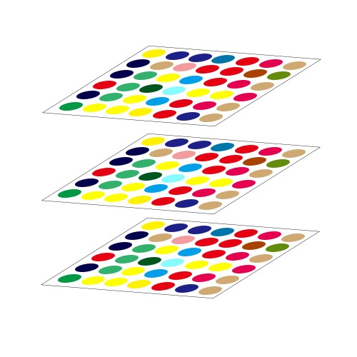  空間轉(zhuǎn)錄組 