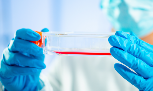 2022（第二屆）3D 細(xì)胞培養(yǎng)與類器官研討會(huì)