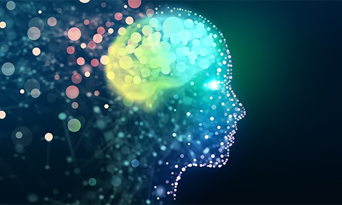 中國(guó)神經(jīng)學(xué)會(huì) | 第十五屆全國(guó)學(xué)術(shù)會(huì)議