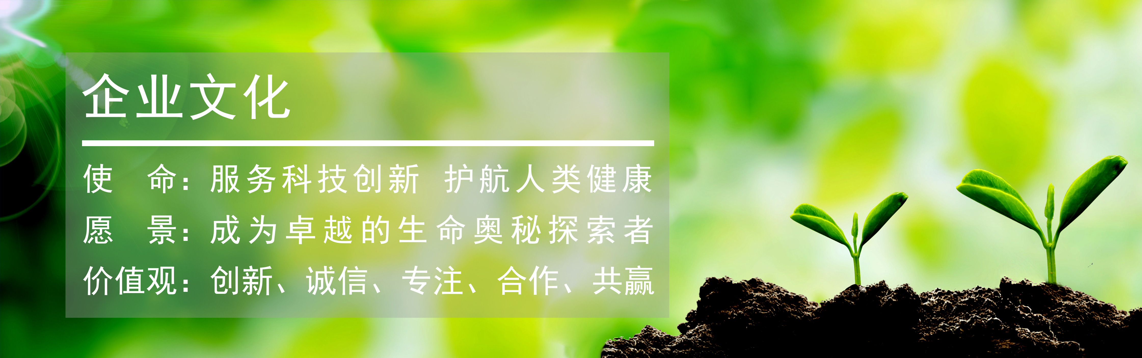 伯豪生物企業(yè)文化茁壯生長
