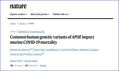 文獻解讀 |Nature 為什么有些人感染新冠后死亡風險高？研究揭示與 APOE 基因型有關！