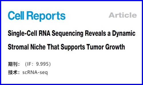 文獻解讀 |ScRNA-seq 揭示了動態基質生態位支持腫瘤生長