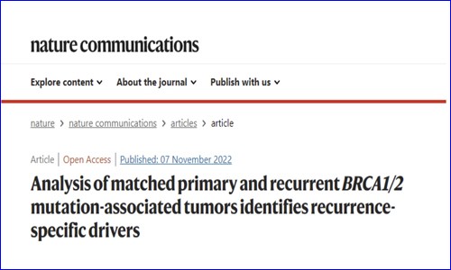 多組學測序 | BRCA1/ 2 基因突變揭示腫瘤復發的潛在驅動因素。