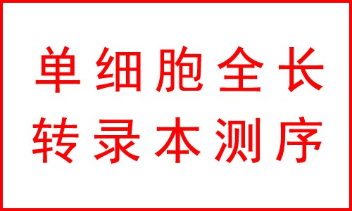 攜手及智醫學 | 單細胞全長轉錄本多組學服務來襲