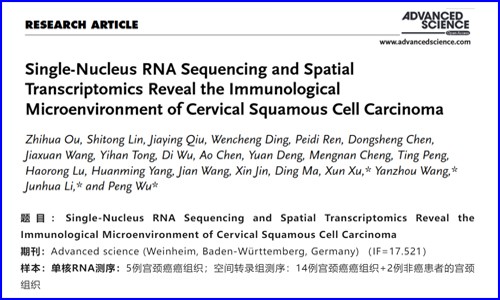 文獻解讀 | 單核 RNA 測序和空間轉錄組學揭示宮頸鱗狀細胞癌的免疫微環境