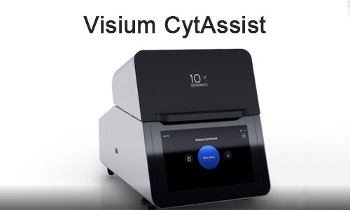 FFPE 空間多組學 | 高效解決方案 Visium CytAssist