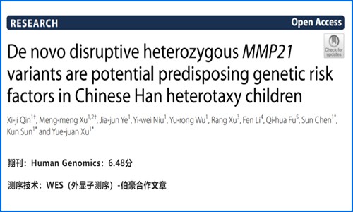 項目文章 |MMP21 基因雜合子變異與中國漢族兒童可遺傳內臟異位綜合征相關