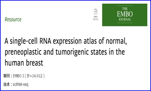 文獻解讀 | 人類乳腺正常、癌前和致瘤狀態的單細胞 RNA 表達圖譜
