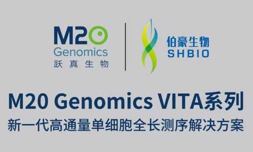 走進 NGSC 生態合作伙伴│伯豪生物——技術與產品雙輪驅動新一代單細胞測序市場發展