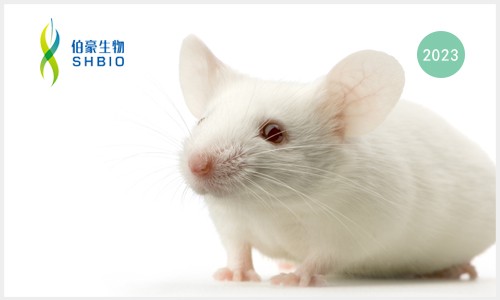 項目文章 | 單細胞 RNA 測序聯合單細胞蛋白質組學鑒定小鼠胰島細胞亞群對高脂飲食的代謝適應性調控