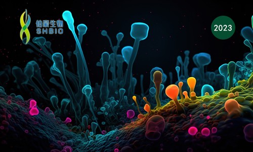 高分文獻一作分享會 | 單細胞 & 蛋白質組學技術在生物標志物研究中的應用進展