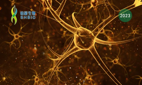 高分文獻一作分享會 | 單細胞組學揭示樹突狀細胞遷移在炎癥和疾病中的作用和機制