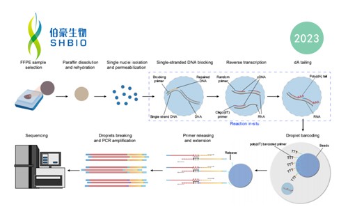登陸 Nature Communications-M20 Seq 技術實現(xiàn) FFPE 樣本高性能檢測