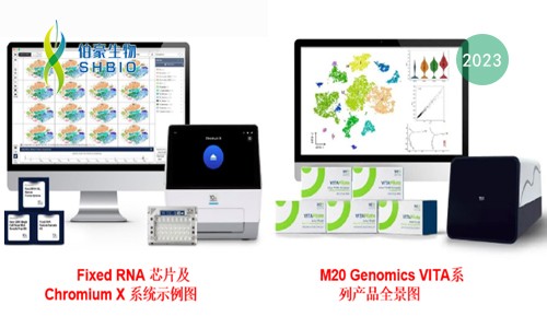技術大比 | 單細胞 RNA 測序選 M20 還是 Flex?